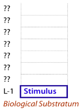 Stimulus as the 1st Level in the Primary Hierarchy of Communication: the foundation and the means of all communication.